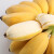 果迎鲜苹果蕉 5斤 广西苹果蕉 粉蕉 香蕉 新鲜水果