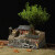 楚锦文竹盆景植物室内小盆栽客厅办公室桌面微景观造景老房子模型摆件 小时候的房子赤楠苔藓 1cm