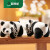 XQ天才小熊猫绒熊猫钥匙扣挂件卡通熊猫毛绒玩具ins包包挂饰男女礼 坐姿北极熊挂件