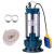 臣源 潜水泵220V不锈钢污水泵WQD7.2-15-0.75自动带浮球排污泵抽水泵750W 蓝色