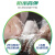 百得（Pattex）AAMS PLUS-W醇型防霉玻璃胶密封胶防水中性硅酮胶马桶淋浴房美容胶收边胶结构胶 300ml白色4支