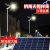 上海2023新款太阳能路灯6米户外led灯超亮大功率庭院照明灯 亚明300W太阳能路灯-装墙款 顶 100W