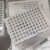HSP9601  hsp9655bio-rad96孔PCR板透明管384孔板HSP3805 HSP9655