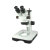 BM彼爱姆 连续变倍体视显微镜(立臂/导轨滑板式）双目、变倍 XTZ-D（7-90X）