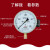 红旗 红旗牌仪表YTZ-150电阻远传压力表变频器专用恒压供水远程传感表 -0.1~1.5MPa 