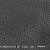 单分散二氧化硅纳米微球（0.05-200微米） 20毫升 5%固含量50mg/ml