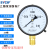 上海仪川仪表 径向负压真空压力表Y100 水压油压气压表 0-1.6MPa Y100 0-0.16MPa