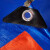锦安行JCH-PEB-2-19 PE 防雨篷布 工业加厚彩条布防雨布雨棚布帆布 10x10m 红蓝色 厚0.2mm 克重135g/m²