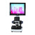 SEEPACK  西派克微循环检测仪高清XW880便携式末梢血管观察仪手指甲壁流速显微镜 高清7寸屏 