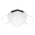 霍尼韦尔（Honeywell）口罩KN95 H910Plus防粉尘口罩 50只/盒/2只独立包装 耳带折叠式