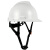 达林韦尔 碳纤维纹路 工地盔 安全帽 ABS工业防砸防撞工程建筑 国标 印字 碳纤维色亮红 