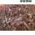 京纯（JINGCHUN）橡树叶腐殖土腐叶土兰花君子兰专用橡叶种植酸性营养土肥料 5斤细 3斤粗筛橡树叶