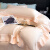 亚朵星球镂空天丝床上四件套 丝滑裸睡床单被套被单双人轻著简约床品 白桃 1.5m床单款四件套/200*230cm