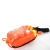 聚远（JUYUAN）水域救援绳包荧光救生绳抛绳包防汛救生装备反光绳包（粗）12毫米（长）21米 一套价