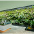 led嵌入式植物射灯育苗绿植室内全光谱天花太阳墙补光生长 30W 全光谱 全光谱 白光 6000K