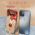 雅仕邦（Aciebron） 苹果13手机壳皮质浮雕国风iPhone13promax保护套 高档皮质浮雕【太极鱼】配紫檀木国风挂件 iPhone13 Pro Max