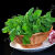 白豌豆苗种子豌豆尖种子四季易种阳台盆栽芽苗菜秋冬季蔬菜种子 散装优质白豌豆种子半斤价格