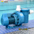 定制适用蓝泳HL大款水泵泳池水疗按摩吸污游泳池带毛发过滤器循环过滤水泵 HL-2.0HP2F220V HL-3.0HP/380V