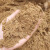 天然河沙海沙黄沙多肉配土沙土鱼缸底沙子乌龟冬眠黄沙土水族造景永德吉 30斤优质细河沙