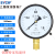 上海仪川仪表 径向负压真空压力表Y100 水压油压气压表 0-1.6MPa Y100 0-1.6MPa