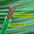 奔新农（BENXINNONG）绿钢丝绳包塑葡萄架遮阳网晾衣绳牵引大棚猕猴桃百香果 5MM钢丝绳包塑7米一套