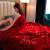 完壮冬天毛毯被子加厚盖毯冬季单床宿舍单人办公室双层拉舍尔铺床毯 CC-653大红 150x200cm约4斤