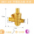 自来水减压阀家用黄铜加厚热水器净水器稳压阀热水器泄压内牙外牙 4分DN15带压力表外牙