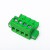 插拔式接线端子2EDGKM-5.08-2P-24P 绿色接线插头带法兰 2P【10只】