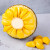 海南黄肉菠萝蜜当季新鲜水果 木波罗蜜 整个带壳14-16斤