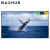 MAXHUB 企业会议屏 110英寸商用显示W110PNB屏视频会议大屏巨幕显示器商用显示智慧屏 MAXHUB智慧大屏110英寸