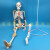 85cm人体骨骼模型骨架人体模型 成人小骷髅教学模型 脊椎全身模型 F款85CM悬挂式骨骼骨附肌肉着色