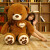 玉扬大泰迪熊公仔毛绒玩具女孩玩偶熊娃娃抱枕生日礼物38妇女节送爱人 深棕(爱得就是你) 1.4米