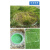 梦茜儿草盆井盖SMC树脂复合下沉式圆井草坪井绿化隐形井盖植草种植方的 草盆井盖 40cm方形