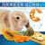 DR BUNNY 兔博士 复康营养草粉 保健兔子龙猫豚鼠营养粉150g 草粉150g