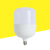 led灯泡照明球泡灯节能灯泡大功率白光黄光灯泡定制 恒流风暴款(E27螺口白光) 15瓦