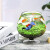 真羽宏（ZHENYUHONG)Gong Du玻璃鱼缸球形圆形缸生态草缸乌龟缸居家创意桌面水族箱观 小号裸缸 直径20cm 口径15cm 高