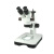 BM上海彼爱姆连续变倍体视显微镜（立臂/导轨滑板式） XTZ-D（双目、变倍7-45X） 