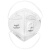 霍尼韦尔（Honeywell）口罩 KN95级别 H950V防雾霾防尘 防花粉 25只/盒 头带折叠式带阀口罩【可定制】