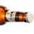 HBkirin啤酒国产 日式精酿啤酒 全麦黄啤酒 精酿啤酒听装瓶装整箱 麒麟一番榨啤酒 330mL 24瓶