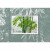 【邮天下】花卉植物系列邮票 1993年邮票 1993-7 竹子邮票 套票 四方联 大版邮票 小型张