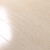 省之优木地板强化复合耐磨防水家用装修卧室客厅10mm板木质地板1㎡ 金森林001