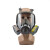 邦固6800呼吸防护全面罩双滤盒防毒面具KN95全面型防护面罩全面具（单面具无配件）