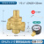 探福（TANFU）（(5个装)1寸双内丝减压阀606克+表）自来水减压阀稳压阀净水器恒压阀备件P1