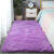 地毯卧室床边满铺少女可爱公主房间网红ins拍照客厅茶几毛毯地垫 紫色长毛 长1.6米宽0.5米血亏价