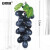 安赛瑞 仿真葡萄（18粒）高仿水果葡萄塑胶假葡萄串拍摄道具园艺装饰葡萄串 黑色 约13cm 530823
