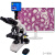 纽荷尔专业研究级光学自动对焦生物显微镜数码测量观察生物切片高倍高清S-Y600