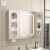 太空铝智能浴室柜镜柜组合单独挂墙式镜子带灯收纳一体带置物架 【白】普通60cm镜柜（全面双门）