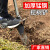 挖树铲洛阳铲铁锹锰钢挖坑神器挖沟洞起苗树根挖土专用锹挖笋工具 4012铲头挖树球起苗挖土