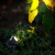 灯典（DENG DIAN）LED射树灯户外防水投射灯庭院景观射灯公园道路照树灯园林地插灯C-013729 12w 3000K IP65
