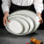 美国德士敦耐高温陶瓷盘西餐厅烤箱专用牛排盘战斧牛扒椭圆形鱼盘 11英寸绿三线陶瓷盘